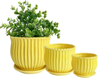 Yellow Ceramic Flower Pots with Saucers, Modern Round Ceramic Succulent Plant Pots with Stripe Texture, Small to Medium Sized, Set of 3
