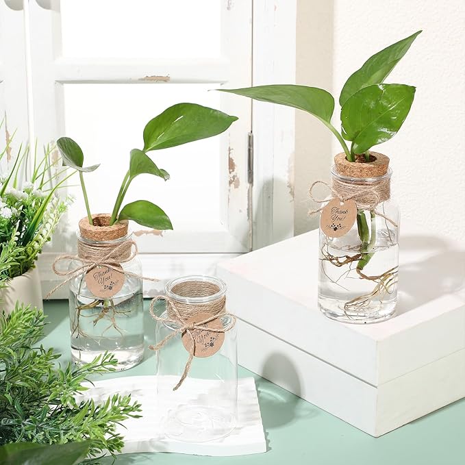 Baderke 24 Pack 4.84'' Plastic Plant Propagation Stations with Hole Lid Planter Vase Clear Propagation Jars with Thank You Tags for Plant Lover Gifts for Women Office Home Garden