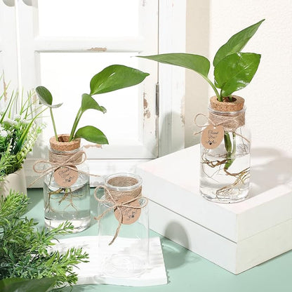 Baderke 24 Pack 4.84'' Plastic Plant Propagation Stations with Hole Lid Planter Vase Clear Propagation Jars with Thank You Tags for Plant Lover Gifts for Women Office Home Garden
