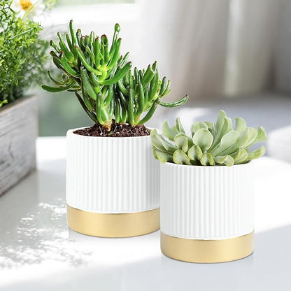 Set of 3 Cement Planter Pots with Drainage Hole,4 inch Plant Pots for Plants Indoor Houseplants,Succulent Pots Windowsil Planter (White&Gold)