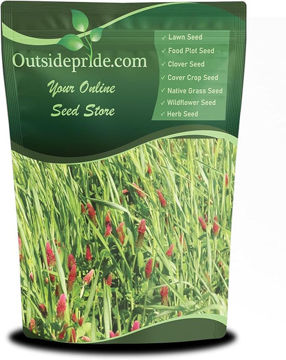 Outsidepride Gardenway Cover Crop Seeds - 5 lbs Nutrient-Rich Seed Mix for Soil Health Improvement & Home Gardens - Mixture of Triticale, Peas, Oats, Vetch, Annual Ryegrass, Crimson Clover