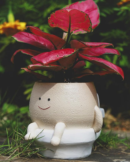 Smily Face Planter Pot Funny Toilet Plant Pots Cute Resin Flower Head Planters Succulent Pots for Indoor Outdoor Plants Unique Bathroom Planter with Drainage Hole (Large)