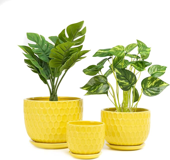 Yellow Ceramic Flower Pots with Saucers, Modern Round Ceramic Succulent Plant Pots with Honeycomb Inspired Texture Design, Small to Medium Sized, Set of 3