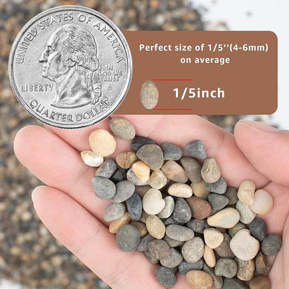 5LB Natural River Rocks, 1/4" Aquarium Gravel, Small Pebbles for Plants, Pea Gravel for Fish Tanks, Decorative Rocks for Gardening, Flower Pots, Vase Fillers, Indoor Fountains (10, Pounds) (5 LBS)
