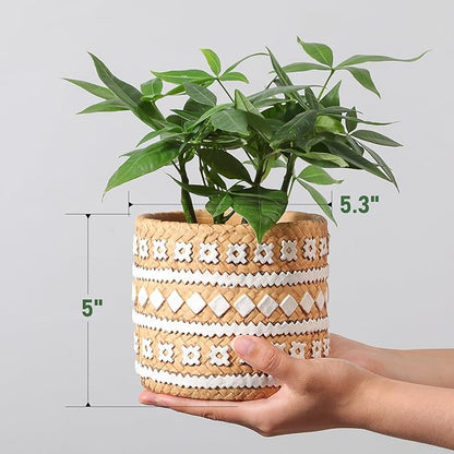 Concrete Rattan-Style Plant Basket Planter, 5" Plant Pots Indoor Outdoor with Drainage Hole, Boho Flower Pot for Succulents, Herbs, Modern Farmhouse Decor, Ideal Gift for Plant Lovers