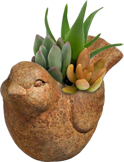 Classic Home and Garden Cement Buddies Animal Planter - Cute Desk Decoration - UV Coated Animal Vase w/Removable Drain Plug - Succulent Planter for Indoor/Outdoor Use (Bird Planter, Rust, Small)