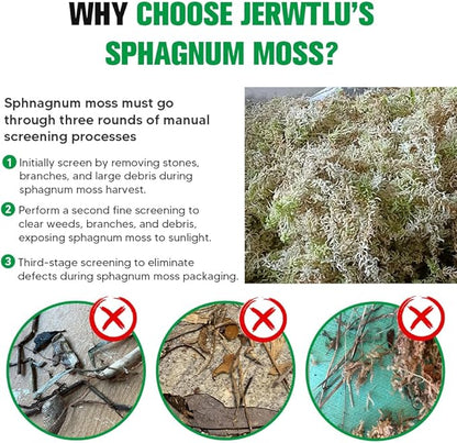 Natural Long Fiber Sphagnum Moss 82QT for Orchid Potting Mix,and Moss Pole for Plants Indoor.Ideal for Propagating Plants,Maintaining Humidity for Reptiles, Isopods in Paludarium, Aquascape (1.5 lb)
