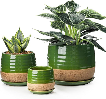 3 Piece Ceramic Small Planter for Indoor Plants - Succulent Plant Pots with Drainage Holes and Saucers - 3.4/4.7/6.1 inch Modern Decorative Small Flower Pots for Bamboo, Succulents and Herbs, Green