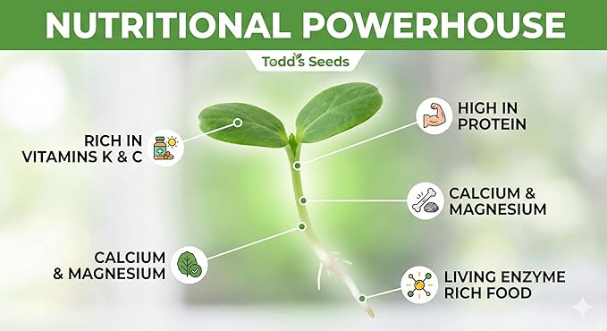 Todd’s Seeds - Premium 100% Chemical Free Alfalfa Sprouting Seeds - Easy to Grow Perfect Bulk Alfalfa Sprouts - Fast Growing with High Germination (1/4 Pound) USA Made