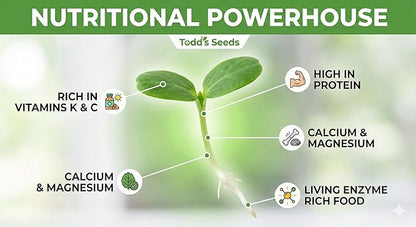 Todd’s Seeds - Alfalfa Seeds - 16 Oz Bulk Alfalfa Sprouting Seeds - Resealable Bag - Highest Germination - Non-GMO, Chemical Free (Better than Organic!) - Perfect for Home Gardening and Healthy Eating
