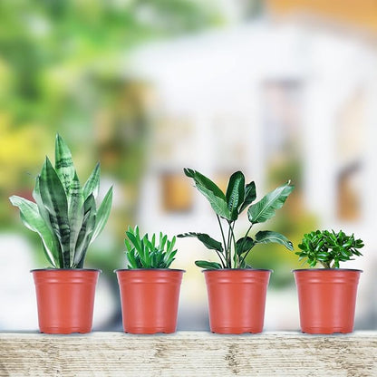 Kleeblatt 100 Pcs Nursery Pots 6 Inch, Plastic Planter Nursery Pots with 30 Pcs Plant Labels, Seedling Pots and Seedling Flower Plant Container