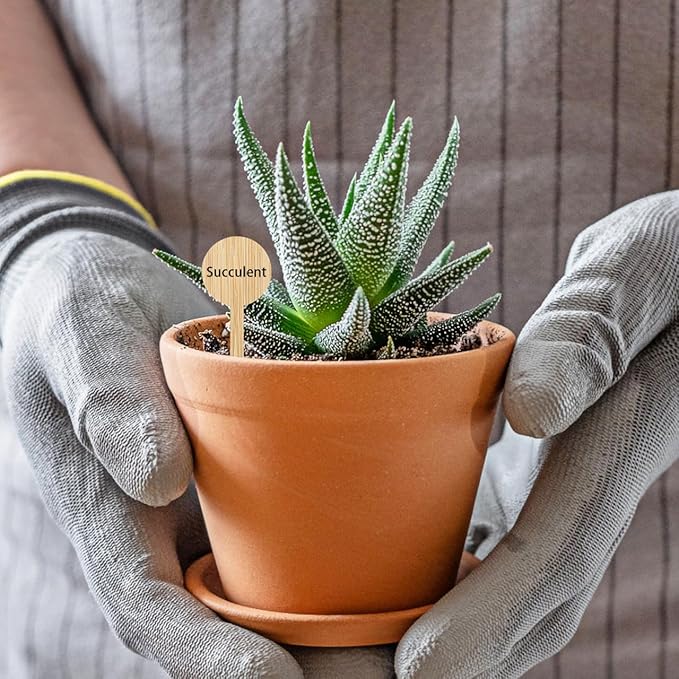 Tofficu 20Pcs Bamboo Plant Labels - Garden Labels for Outdoor Garden Waterproof - Plant Name Tags - Plant Identification Stakes for Succulents Nursery Indoors Greenhouse