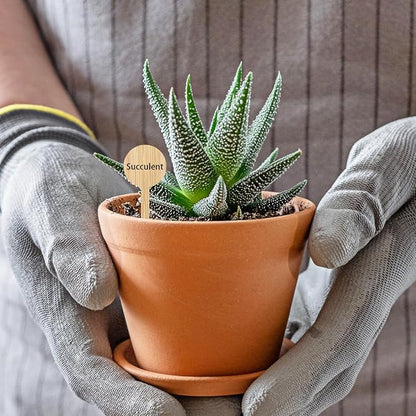 Tofficu 20Pcs Bamboo Plant Labels - Garden Labels for Outdoor Garden Waterproof - Plant Name Tags - Plant Identification Stakes for Succulents Nursery Indoors Greenhouse