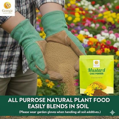 Natural Mustard Oil Cake Powder As Fertilizer for All-Purpose Fertilizer Concentrate for Flower, Vegetable, Herb, Fruit Tree (Pack of 2-6 LB)