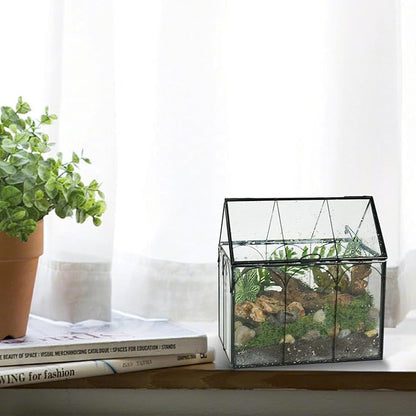 Ferrisland Glass Plant Terrarium Container Wardian Case Indoor Small Succulent Terrarium Planter W/Door for Tabletop Decor DIY (6" L x 4.3" W x 6.3" H)