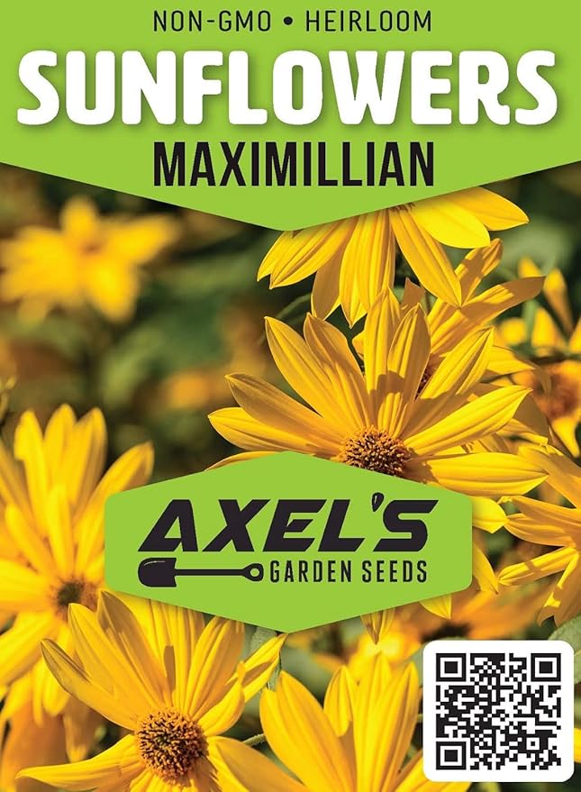 Perennial Sunflower Seeds for Planting - Plant & Grow Maximilian Sun Flowers in Your Home Outdoor Garden - 500 Non GMO Heirloom Seeds - Full Planting Packet with Instructions for Easy Grow, 3 Packets