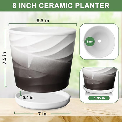 8 Inch Plant Pot,Ceramic Planter with Drainage and Saucer,Ceramic Pots for Plants,Indoor Plant pots,Ceramic Flower pots(Dark Gray+White)