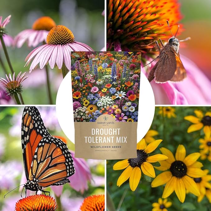 Drought Tolerant Wildflowers Mix – Bulk 5 Pounds – Over 600,000 Open Pollinated Non-GMO Seeds – 21 Different Dryland Species