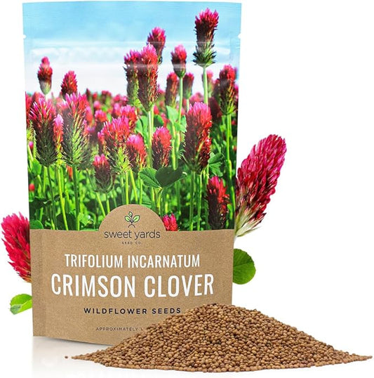 Crimson Clover Seeds – Bulk Quarter Pound Bag – Over 20,000 Open Pollinated Non-GMO Seeds – Trifolium incarnatum