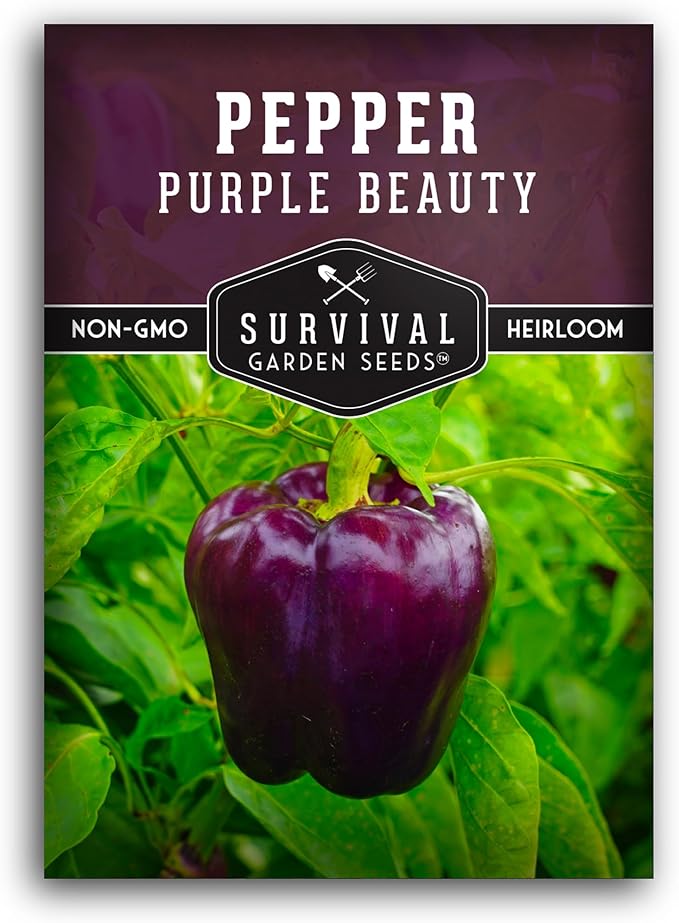 Purple Beauty Bell Pepper Seeds for Planting | Heirloom Sweet Purple Bell Peppers for Home Gardens – Non-GMO Open-Pollinated – Survival Garden Seeds (1 Pack)
