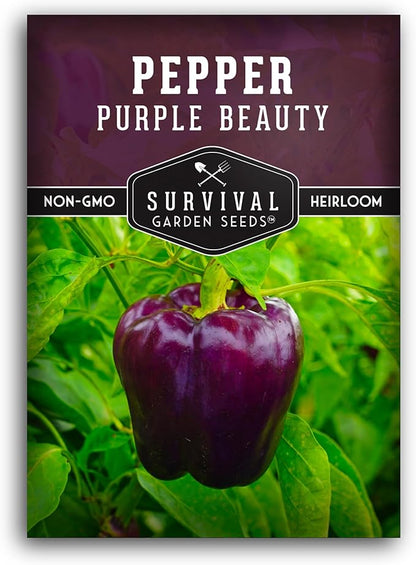 Purple Beauty Bell Pepper Seeds for Planting | Heirloom Sweet Purple Bell Peppers for Home Gardens – Non-GMO Open-Pollinated – Survival Garden Seeds (1 Pack)