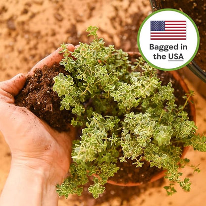 Perfect Plants Indoor Plant Soil 8qt | Perfectly Balanced Potting Mix | Gardening Substrate for All Varieties of Live houseplants (Pack of 2)
