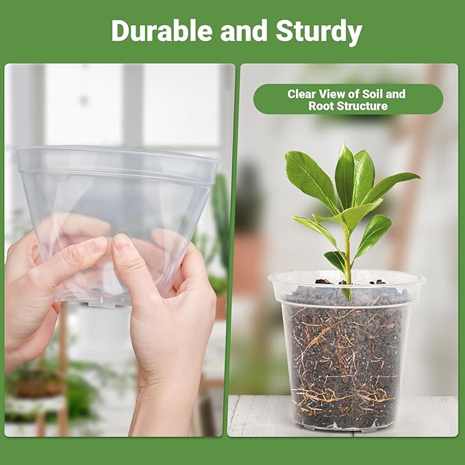GREANER 5 Inch 30 Packs Clear Plant Pots, Transparent Plastic Plant Pots for Indoor Outdoor Plants, Nursery Pots & Seed Starting Pots with Drainage Holes and 20 Pcs Plant Labels