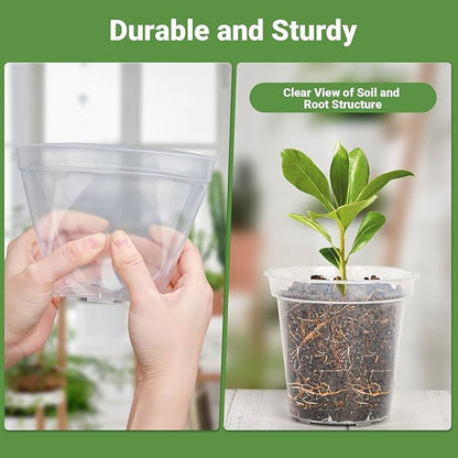 GREANER 5 Inch 30 Packs Clear Plant Pots, Transparent Plastic Plant Pots for Indoor Outdoor Plants, Nursery Pots & Seed Starting Pots with Drainage Holes and 20 Pcs Plant Labels