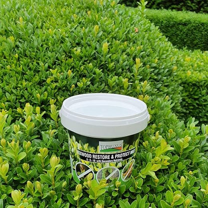 TOPBUXUS Boxwood Restore & Protect Mix - 10 tabs for 1,000 sq. ft.