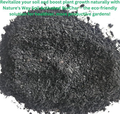 Generic Horlticural Activated Charcoal for Plants, 4 Quarts, Indoor and Outdoor, Charcoal for Terrariums, Conditioning for Bonsai Soil and Catus Soil, Black, NWS-4q-ABC