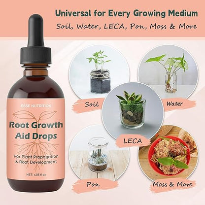 Root Growth Aid Drops - Rooting Hormone for Cuttings | Propagation Drops for Faster Roots & Less Shock | Works in Water, Soil, LECA | for Pothos, Monstera & All Houseplants (4.05 oz)