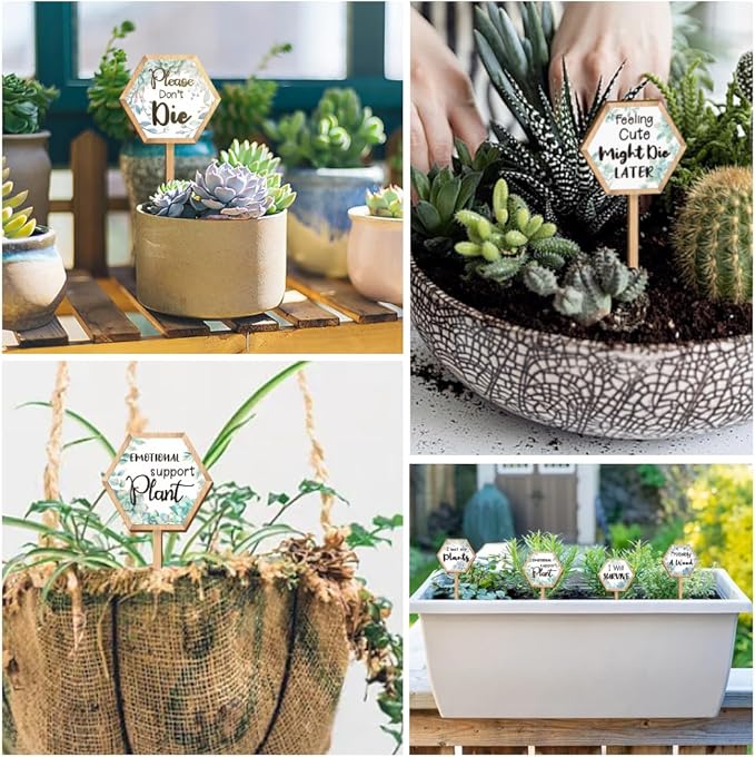 15 Pcs Hexagonal Funny Plant Markers, Water Please Pray for Me Plant Labels Wood Greenery Garden Tags for Vegetable Flower Herb Succulent Seedling Potted, 2.5x4.7 Inch