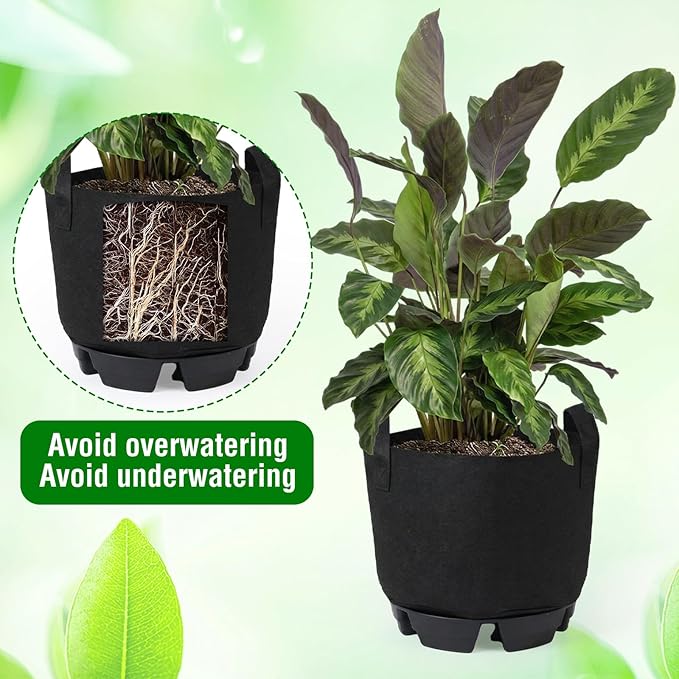 6 Set Self Watering Fabric Pot Base Plant Nonwoven Grow Bags Automatic Watering Plant Saucers Elevated Flower Trays for Fruits Vegetables Flowers(5 Gallon,Black)