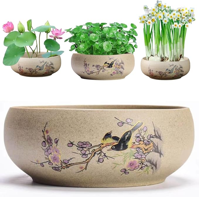 Lotus Bowl Planter, Ceramic Water Lily Bowl, Hydroponic Bonsai Lotus Bowls for Water Plants Indoor, Succulent Pots, Leak-Proof Design, Chirping Birds and Blooming Flowers (7.56in*2.76in)