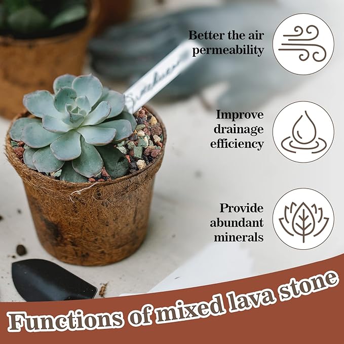 Sukh 1LB Horticultural Succulent Granule Soil - Succulent Rocks Bonsai Mix Lava Rocks Cactus Soil Potting Mix Amendment