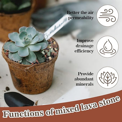Sukh 1LB Horticultural Succulent Granule Soil - Succulent Rocks Bonsai Mix Lava Rocks Cactus Soil Potting Mix Amendment