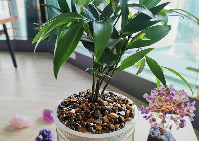 ZHIYUXI Tigers Eye Crystal Vase Filler Crystal Chips Stone for Decoration Succulent Plants Vase Fish Tank Gravel Crushed Crystals Chips Gemstone Polished Healing Crystals Quartz Home Decor Gem Stones
