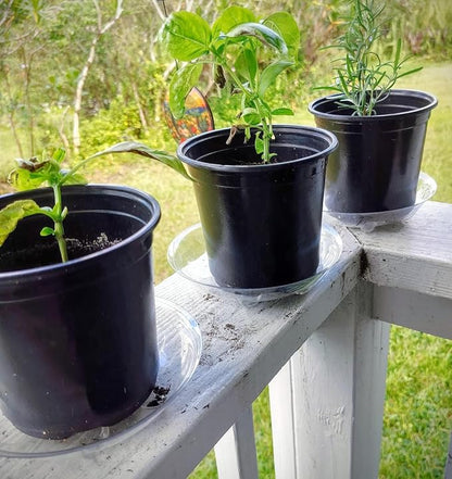 15 Pack Assorted Sizes 6 8 10 Inch Clear Thick Plastic Heavy Duty Sturdy Plant Saucer Drip Trays for pots, 5 Pieces of Each Size (Assorted Sizes 6'', 8'', 10'')