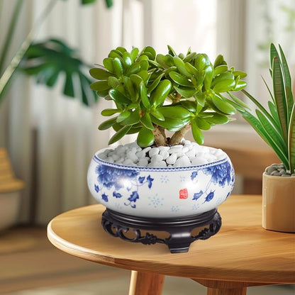 DOITOOL 7 Inch Lotus Bowl Planter Water Lily Pot with Stand Lotus Flower Bowl White Planter Hydroponic Container Bonsai Pots for Indoor Garden Decoration
