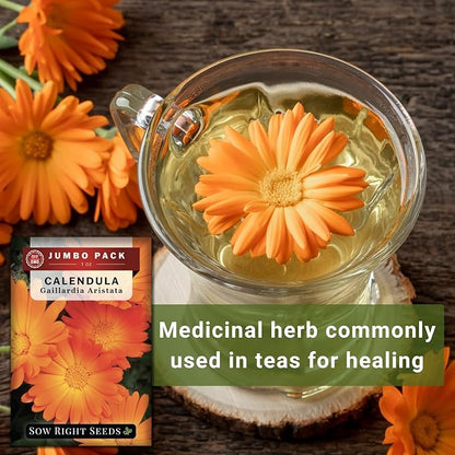 Sow Right Seeds - Bulk Ball’s Orange Calendula Seeds for Planting - 1 Ounce, 2800 Seeds - Non-GMO Heirloom Jumbo Pack with Instructions to Plant a Garden - Grow Loads of Orange Blooms for Pollinators