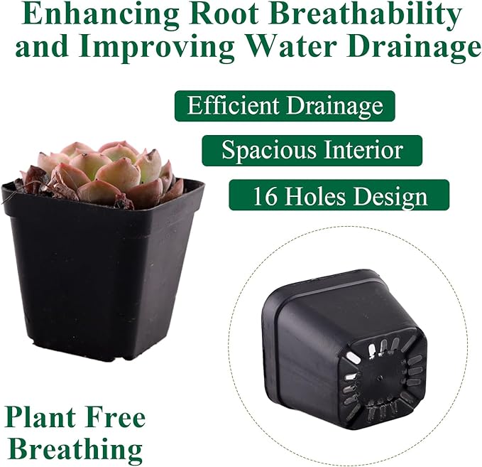 100 Packs Square Nursery Pots for Plants 4 Inch Succulent Plant Pots Set Plastic Seedling Starting Pots with Drainage Holes Nursery Pots Variety Pack Flower pots Planter Seed Starter, Black