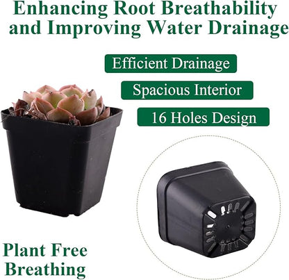 100 Packs Square Nursery Pots for Plants 4 Inch Succulent Plant Pots Set Plastic Seedling Starting Pots with Drainage Holes Nursery Pots Variety Pack Flower pots Planter Seed Starter, Black