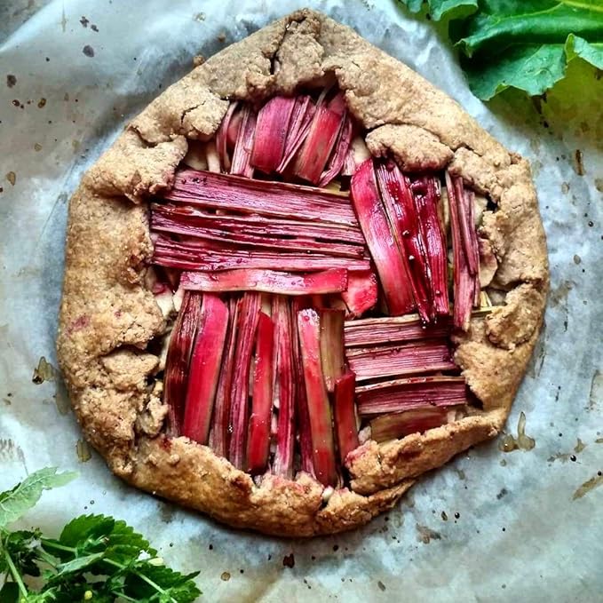 Rhubarb Seeds 50+ Seeds Garden Rhubarb Rheum Rhabarbarum Garden Vegetables Seeds