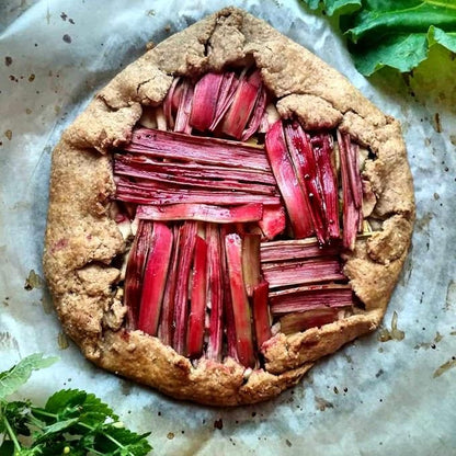 Rhubarb Seeds 50+ Seeds Garden Rhubarb Rheum Rhabarbarum Garden Vegetables Seeds