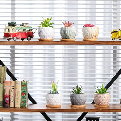 Marbling Ceramic Flower Pot 3.35 Inch Succulent Small Plant Cactus Herbs Planter Ceramic Pot with Drainage Hole Matte Round Container(6 Pcs,Elegance Style)