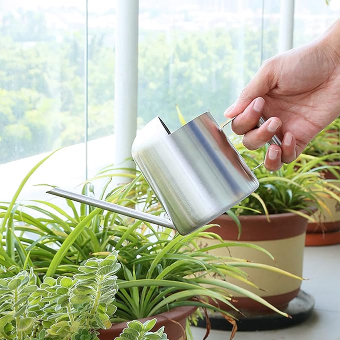 Watering Cans, 10oz/300ml Stainless Steel Long Spout Small Watering Sprinkling Pot, Indoor Outdoor Garden Flower Succulents Plant Watering Cans, Stylish Gardening Decoration(Silver)