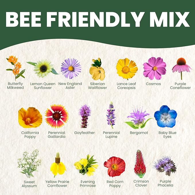 Bee Friendly Mix – 7,000 Seeds for Planting – 2026 Season – 1 Ounce Pouch