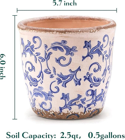 Vintage Ceramic Planter with Drainage Hole, Plastic Tray & Mesh, 5.5 Inch - Indoor/Outdoor Flower Pot, Blue Floral Rustic Farmhouse Design Plant pot for Home, Office & Garden Décor, Ideal Gift