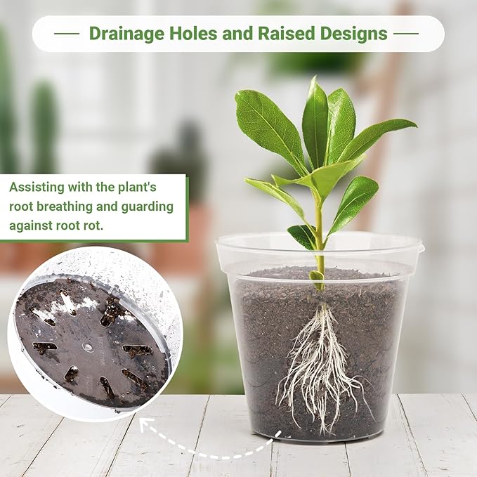 GREANER 10 Inch Nursery Pots, Clear Reinforced Plant Nursery Pots, High Transparency Flower Plant Container with 20 Plant Labels for Flowers, Seeds, Succulents, Vegetables(10PCS)