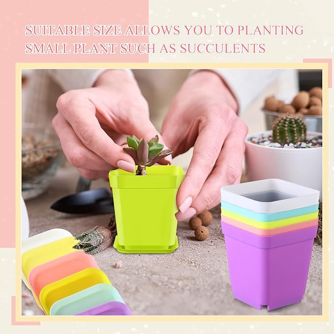 Zubebe 240 Pack Plastic Seedling Pots 3 Inch Flower Pots Small Square Plastic Plant Pots Succulent Planter Nursery Pots with Saucers for Outdoor Indoor Starting Seedlings Garden Room (Colorful)